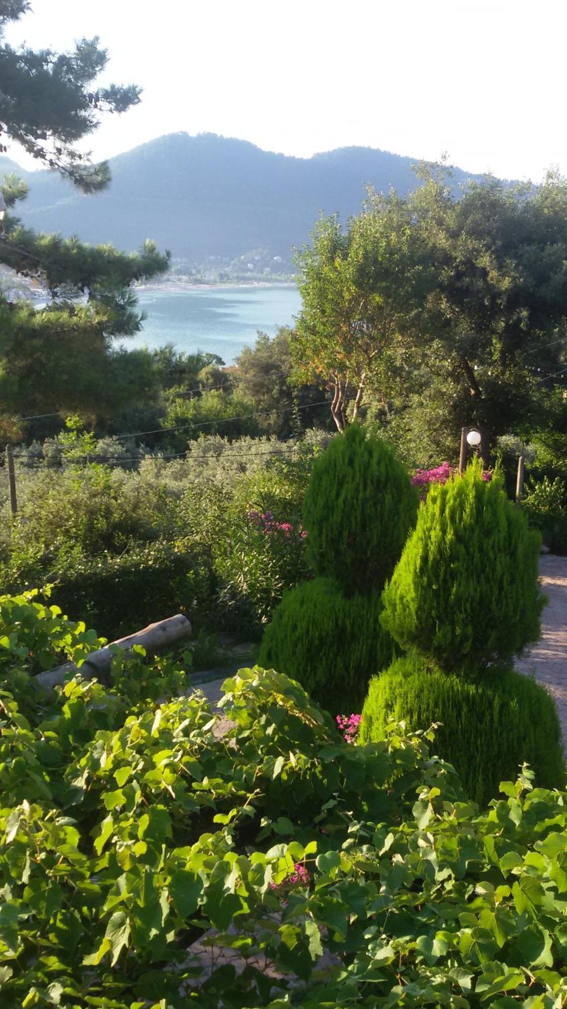 Villa Dimitra Skala Potamia  Buitenkant foto