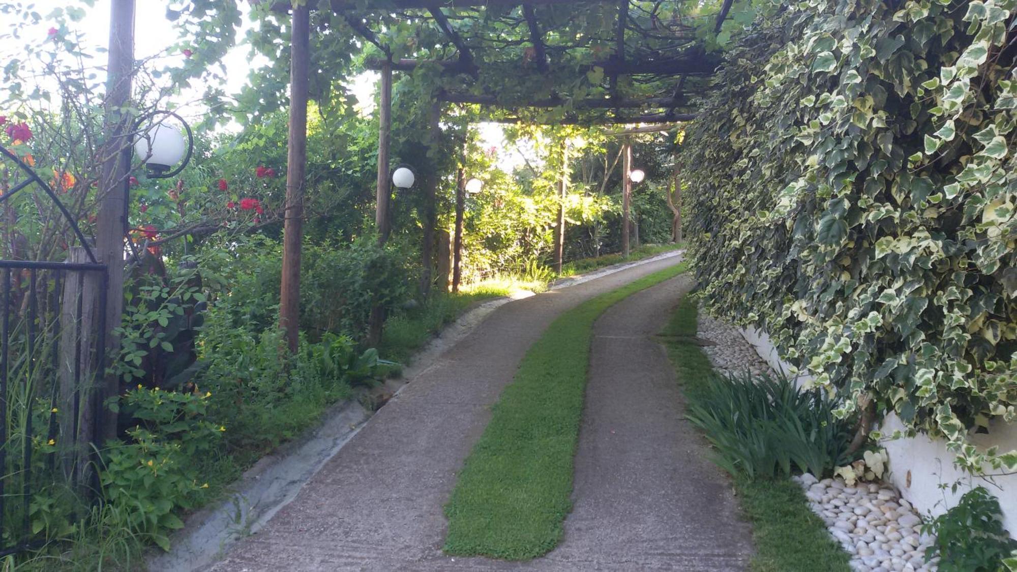 Villa Dimitra Skala Potamia  Buitenkant foto